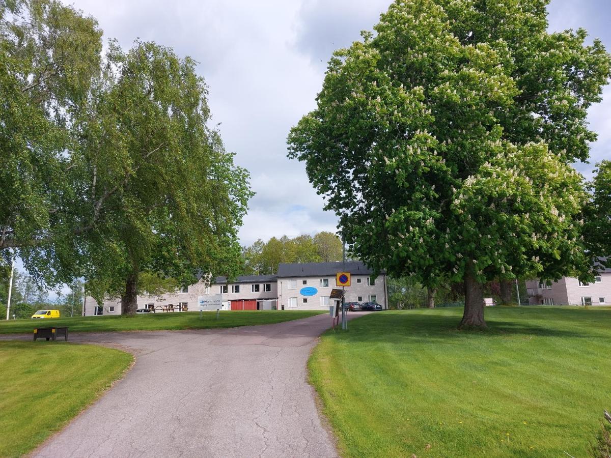 Hammaroe Vandrarhem 外观 照片